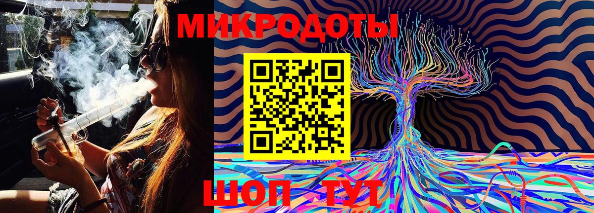 Псилоцибиновые грибы Psilocybe Пугачёв